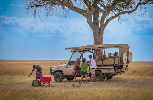 Journeying Through Africa: Exploring Eco-Friendly, Off-The-Beaten-Path, and Luxury Travel Options